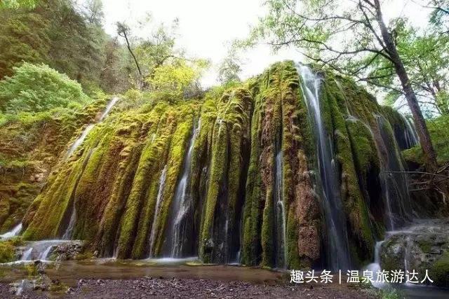 逃离鱼店